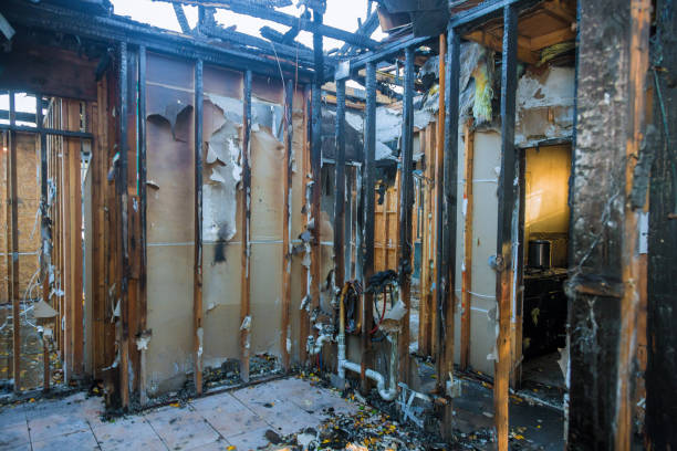 Professional Fire Damage Removal technician working in Pease, MN